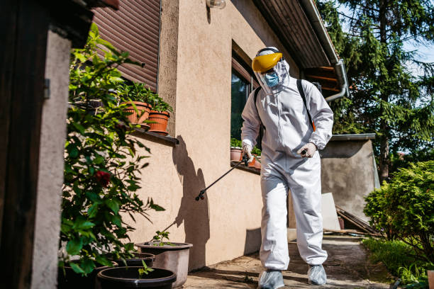 Best Termite Control Services  in Fall River, MA