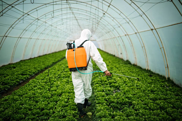 Best Affordable Pest Control Services  in Fall River, MA