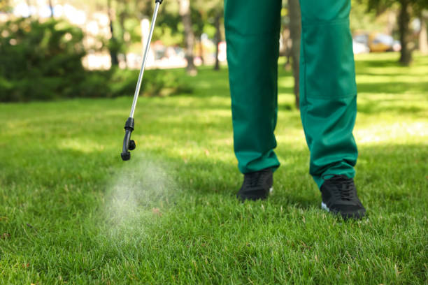 Best Cockroach Control Services  in Fall River, MA