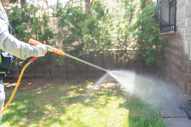 Best Insect Control  in Fall River, MA