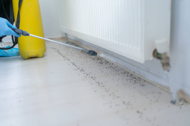 Fall River, MA Pest Control Company