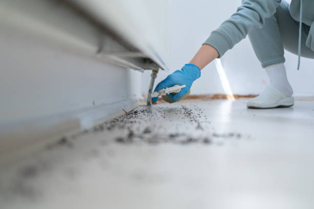 Best Mosquito Control Services  in Fall River, MA