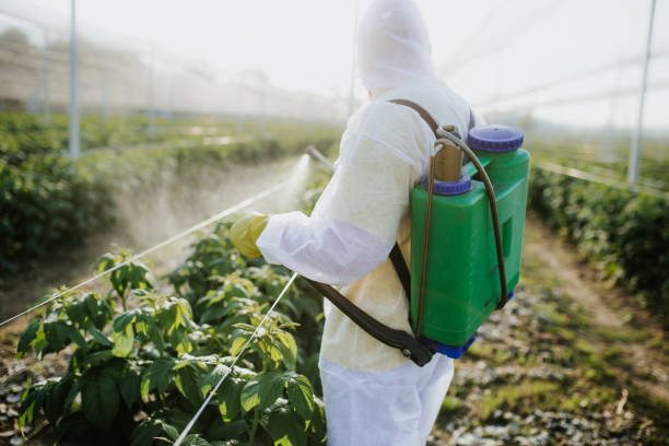 Best Best Pest Control Companies  in Fall River, MA